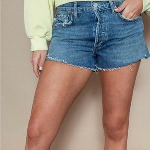 NWT Agolde Parker Short - Lowkey